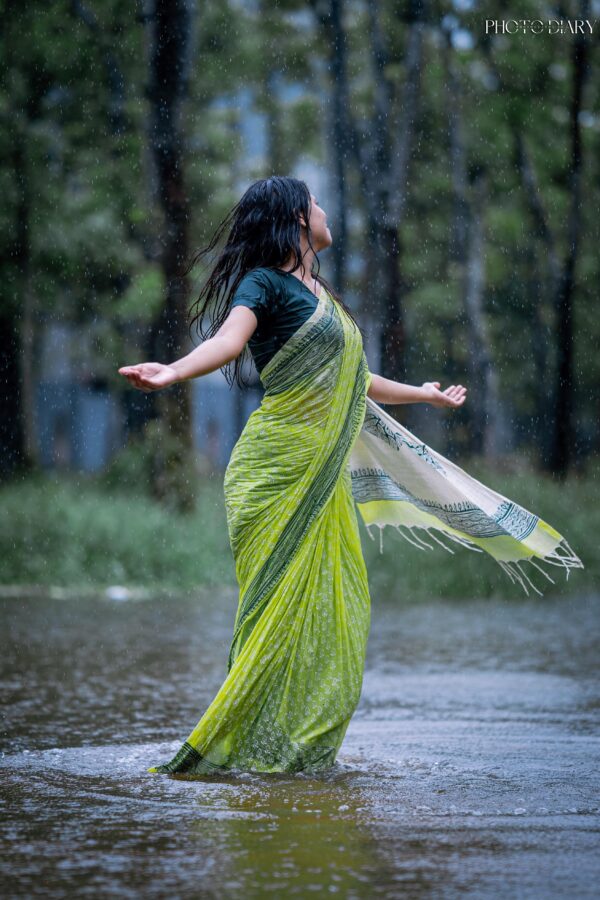 Bangladeshi Saree Collection (1)