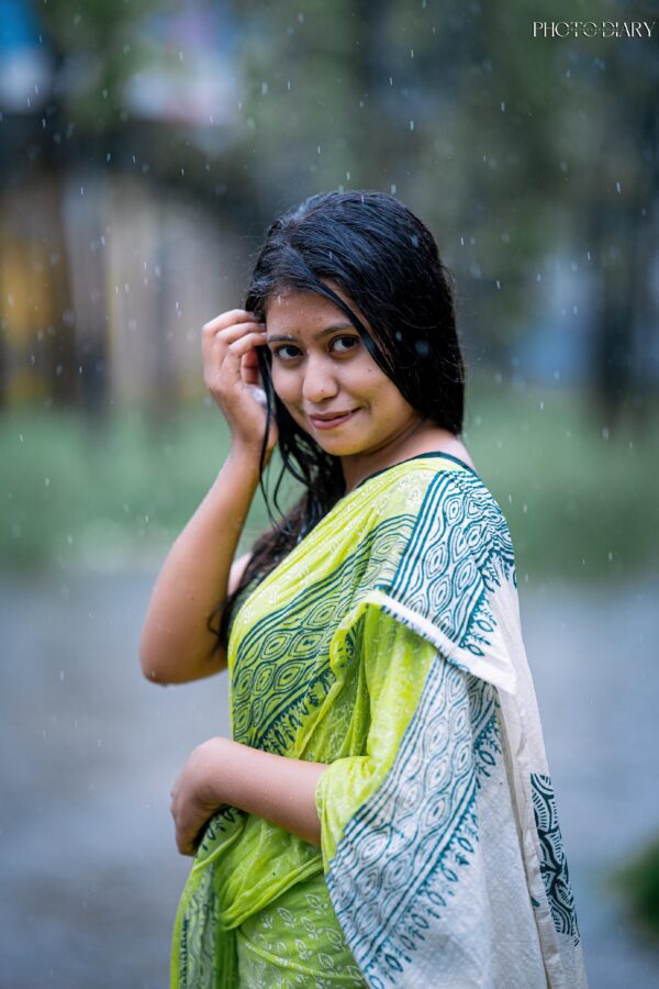 Bangladeshi Saree Collection (2)