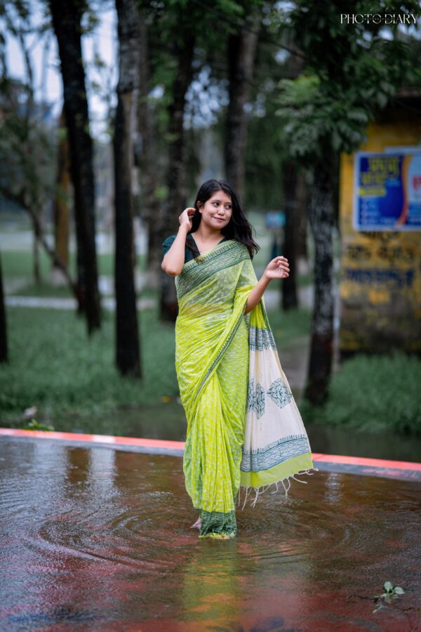 Bangladeshi Saree Collection (3)