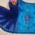 Premium Dhupian Silk Saree — Catalog 13 | BUS-IMG-7113